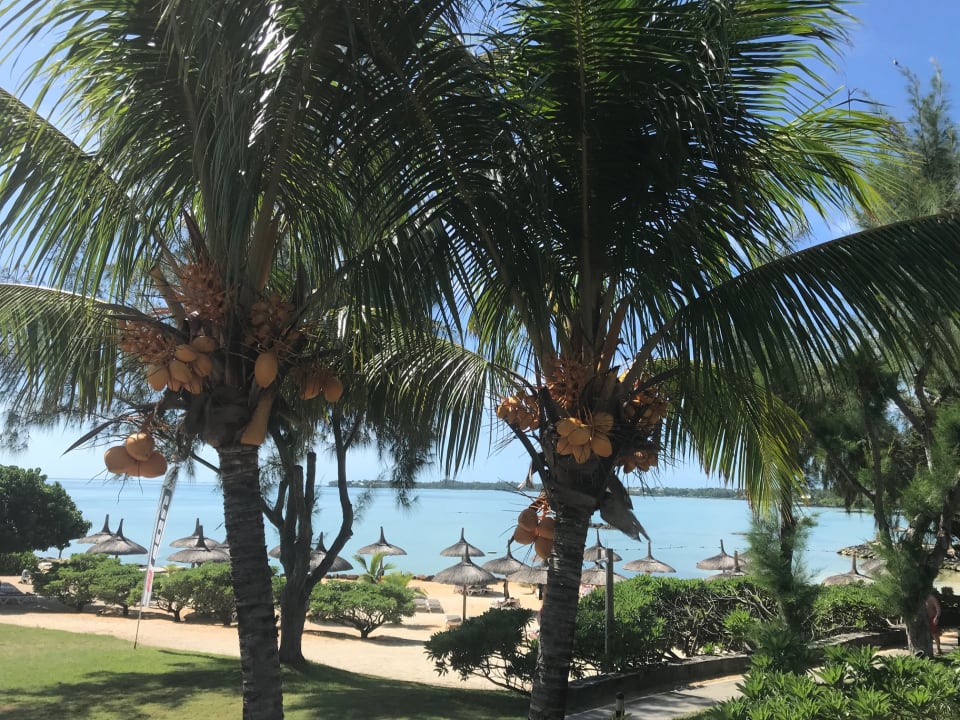 Strand Lagoon Attitude - Adults only