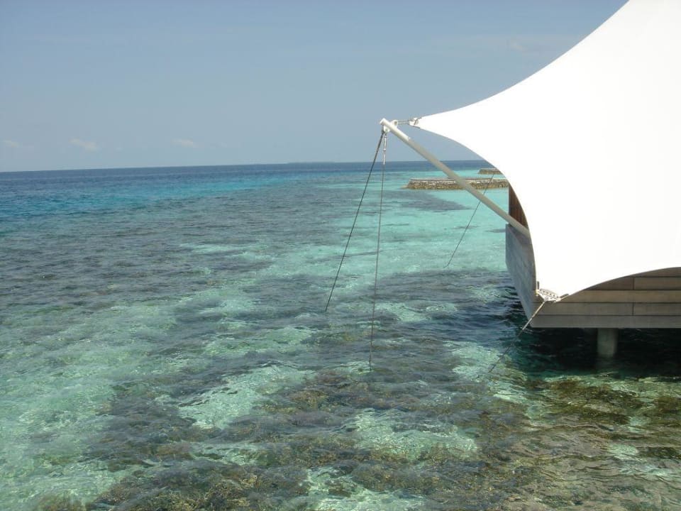 Korallengarten W Maldives