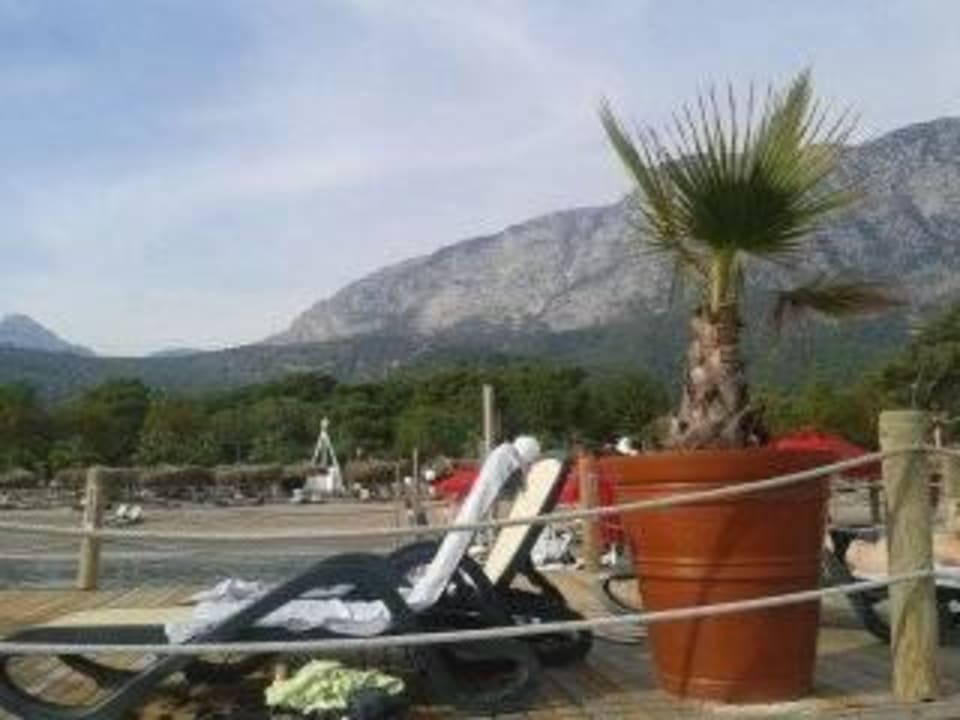  am Steg Balmy Foresta