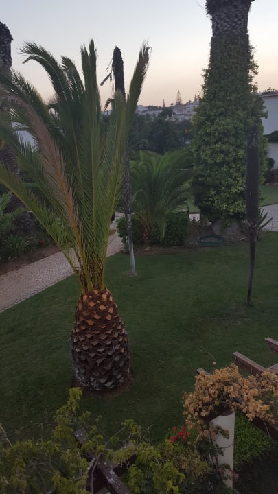 Ausblick  Hotel Luz Bay Club