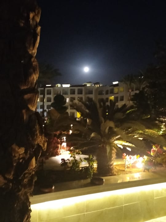 Außenansicht Pickalbatros Dana Beach Resort - Hurghada