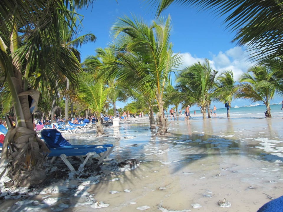2 Tage wurde der Strand halb überspühlt Villas Bavaro Resort & Spa
