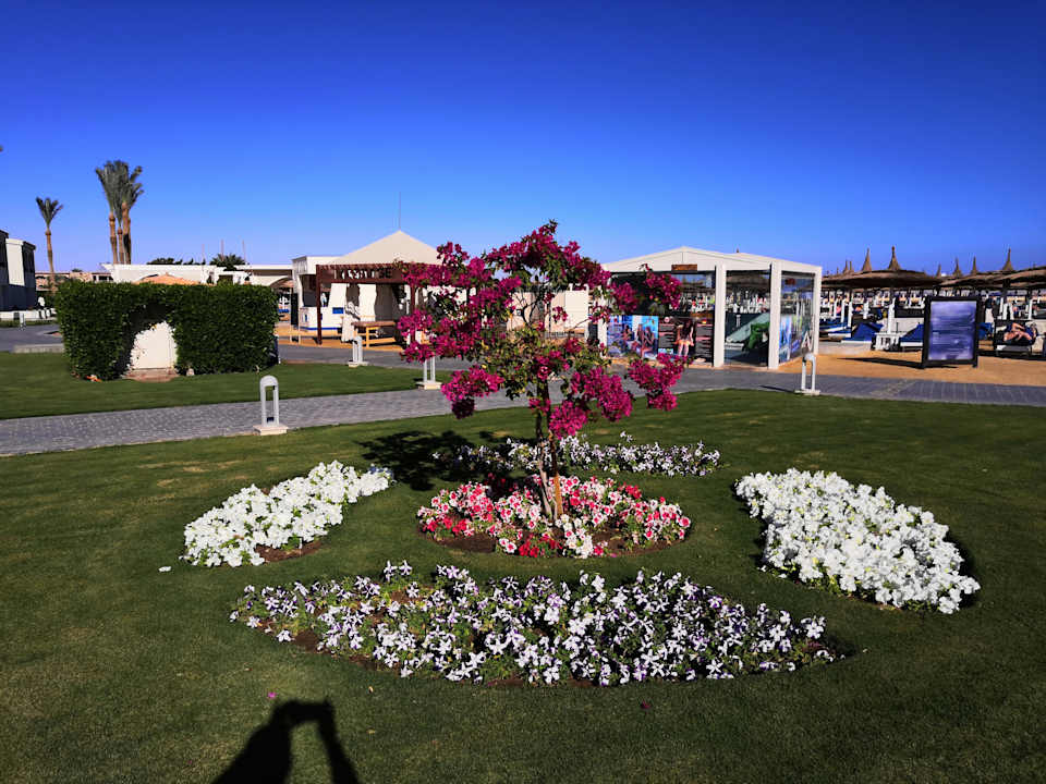 Gartenanlage Pickalbatros Dana Beach Resort - Hurghada