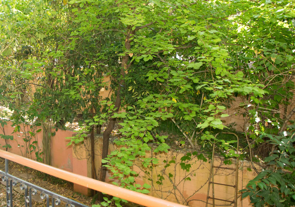 Widok na morze Hotel Lydia's Beach