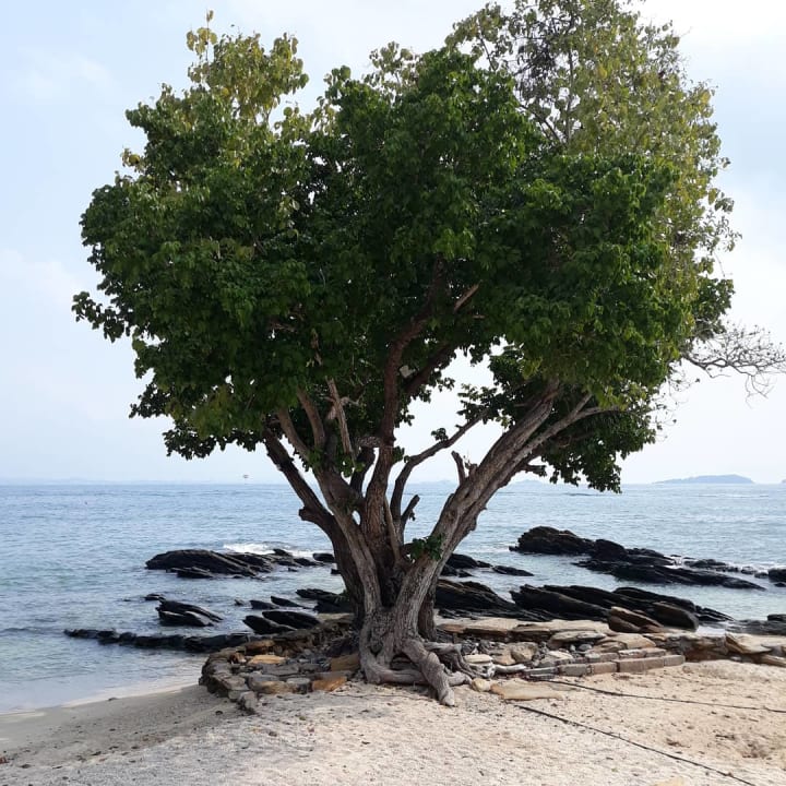 Strand Sai Kaew Beach Resort