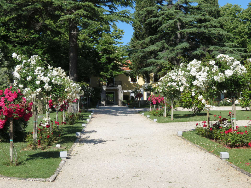 Sehr netter Garten Falkensteiner Hotel Adriana