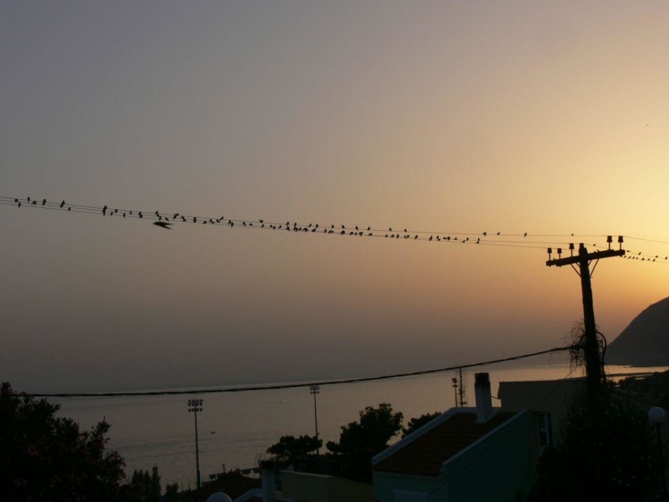 Phänomen Hotel Sandy Bay