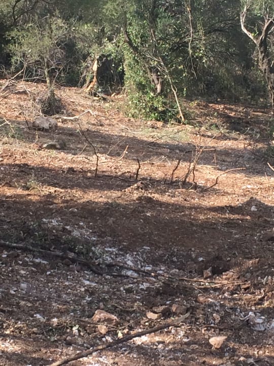 Außenansicht Golden Mare Barbati Hotel