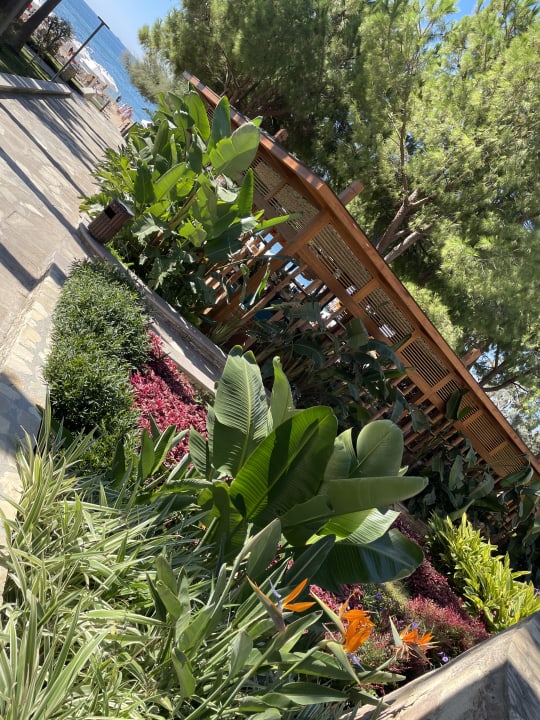 Gartenanlage Arum Barut Collection