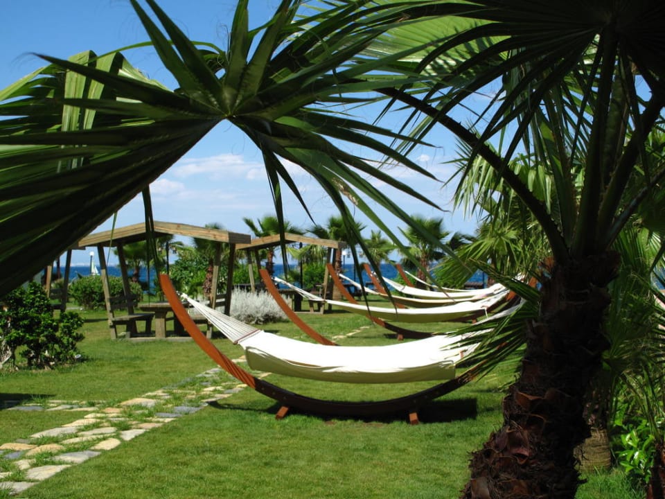 Среди пальм Crystal Flora Beach Resort