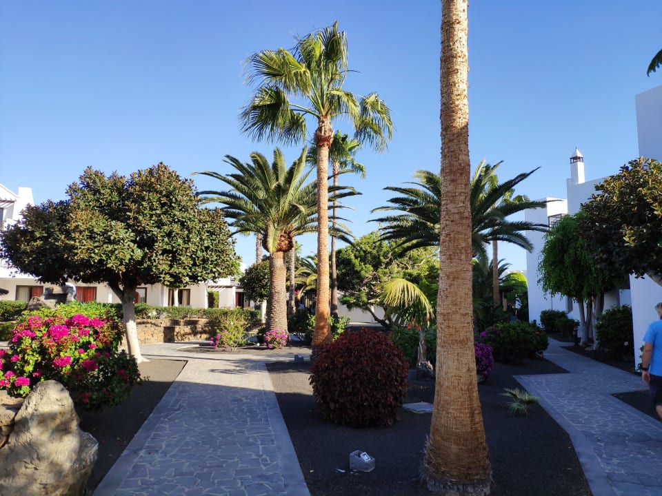 Gartenanlage allsun App.-Hotel Albatros