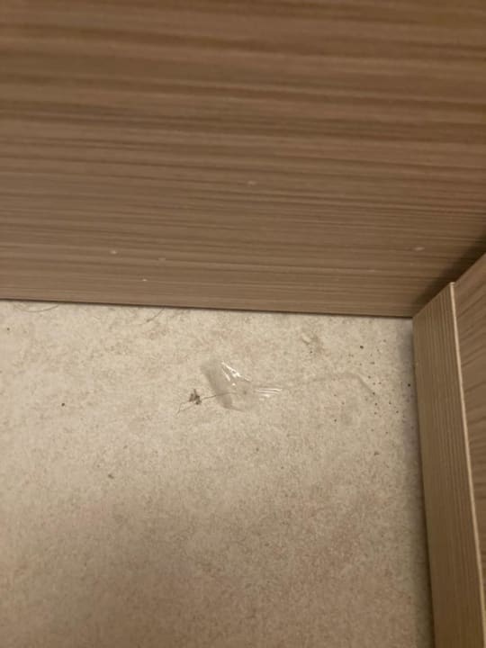 Zimmer Aparthotel Fontanellas Playa