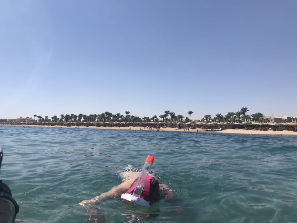 Strand Jaz Makadi Oasis Resort