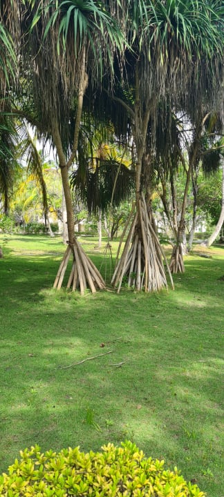 Gartenanlage Adaaran Select Hudhuran Fushi - Premium All Inclusive