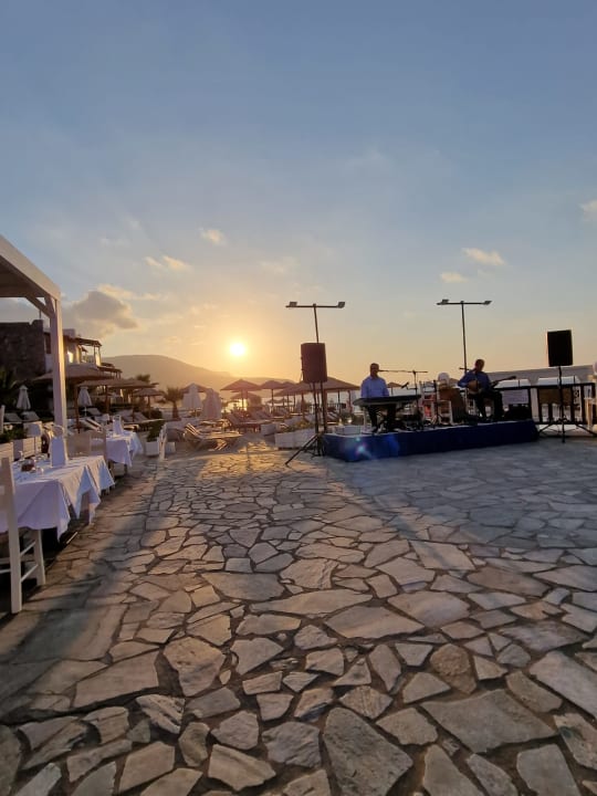 Gastro Alexander Beach Hotel & Village Resort