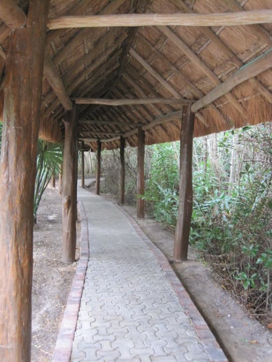 Überdachter Pfad Grand Palladium Select White Sand Resort & Spa