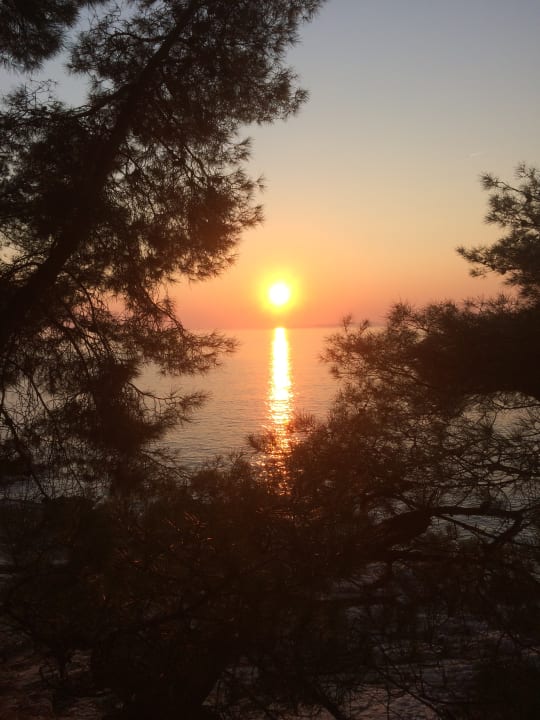 Ausblick Hotel Aurora