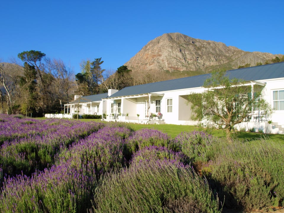 Außenansicht Guesthouse Lavender Farm