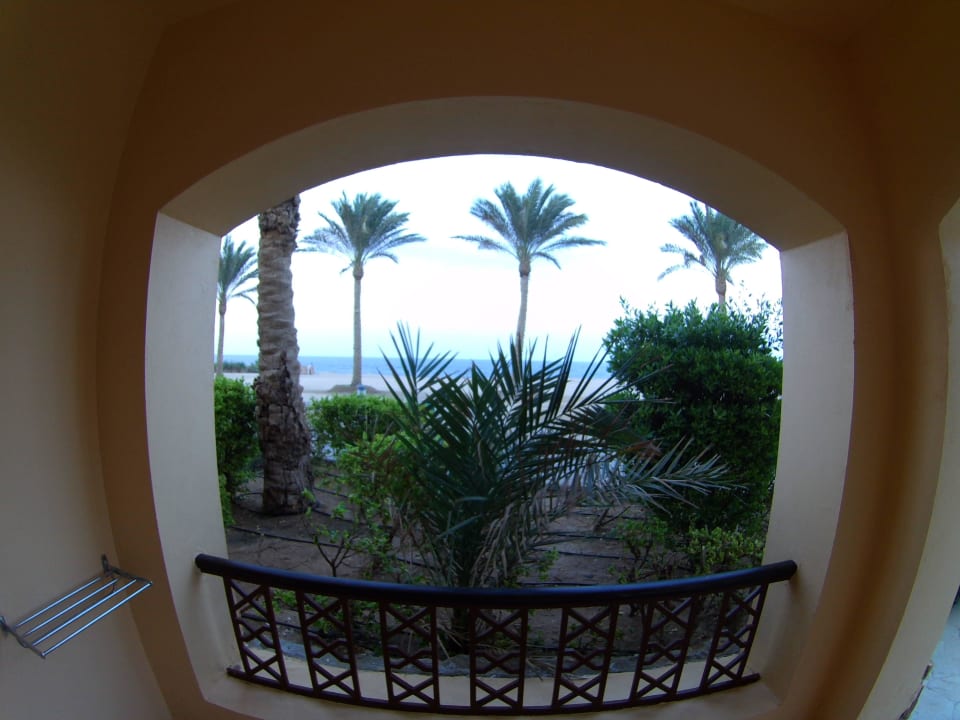 Blick von der Terrasse Steigenberger Coraya Beach - Adults only