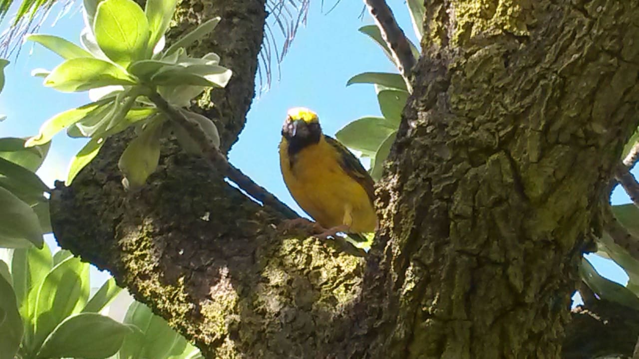 Schöne prächtige Farben Hotel Silver Beach