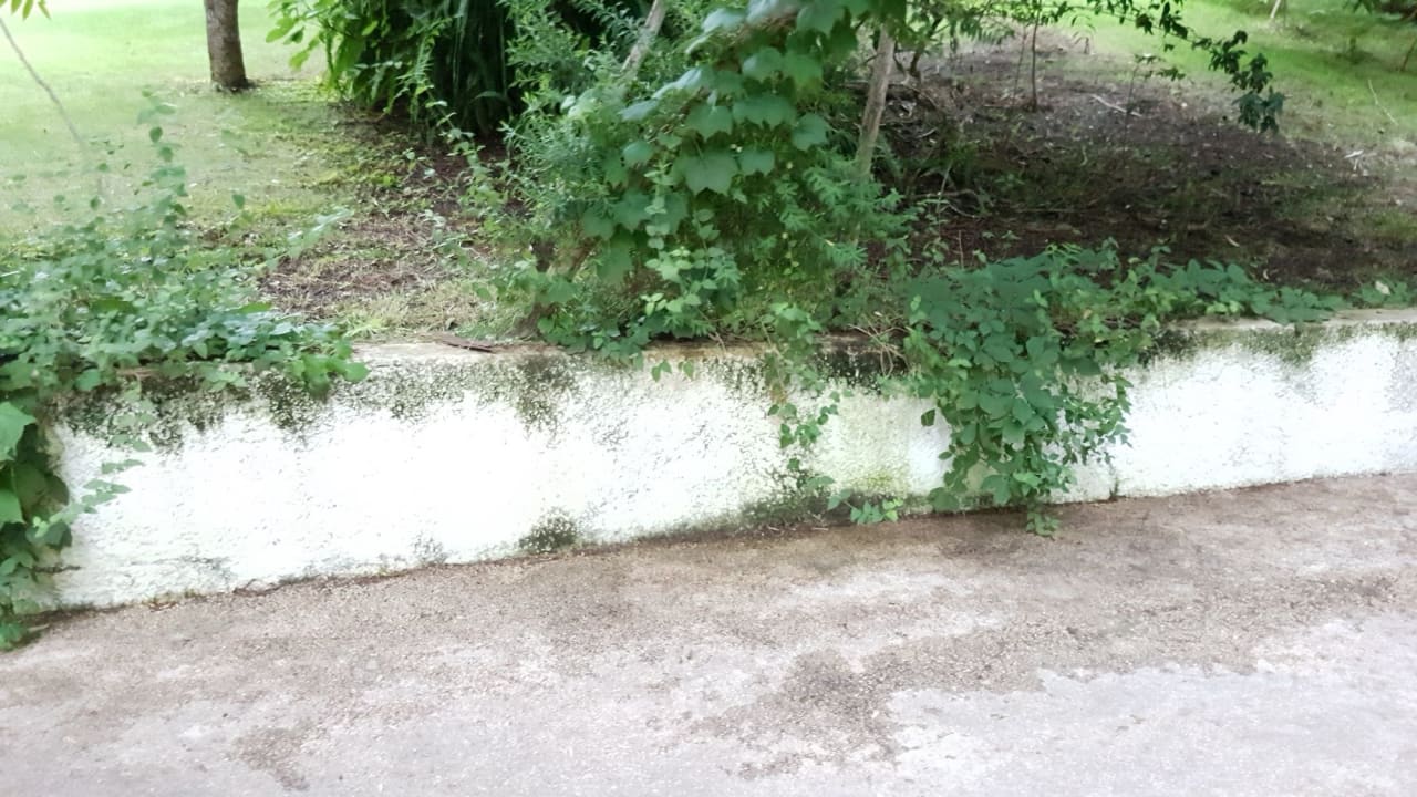 Gartenanlage Arbatax Park Resort - Telis