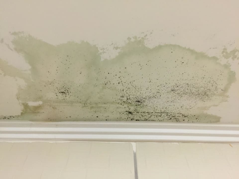 Schimmel im Badezimmer Starlight Resort Hotel