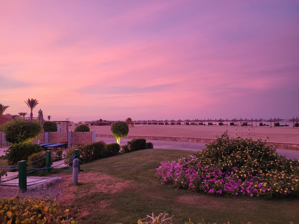 Gartenanlage Novotel Marsa Alam Beach Resort