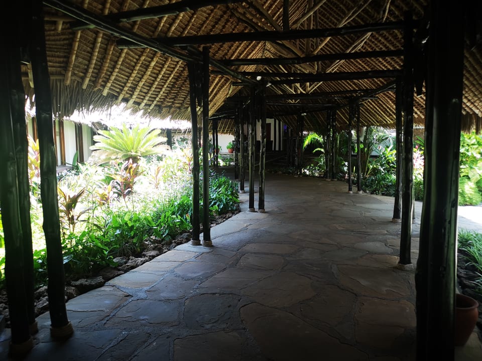 Gartenanlage Bahari Beach Hotel