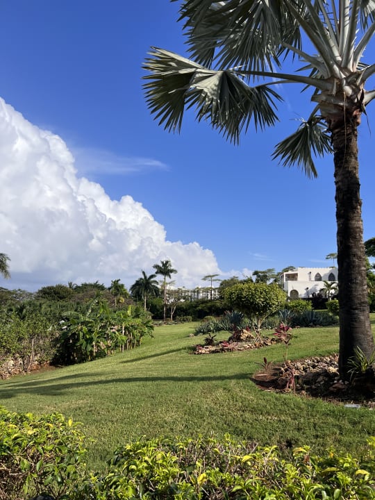 Gartenanlage Hotel Riu Palace Zanzibar