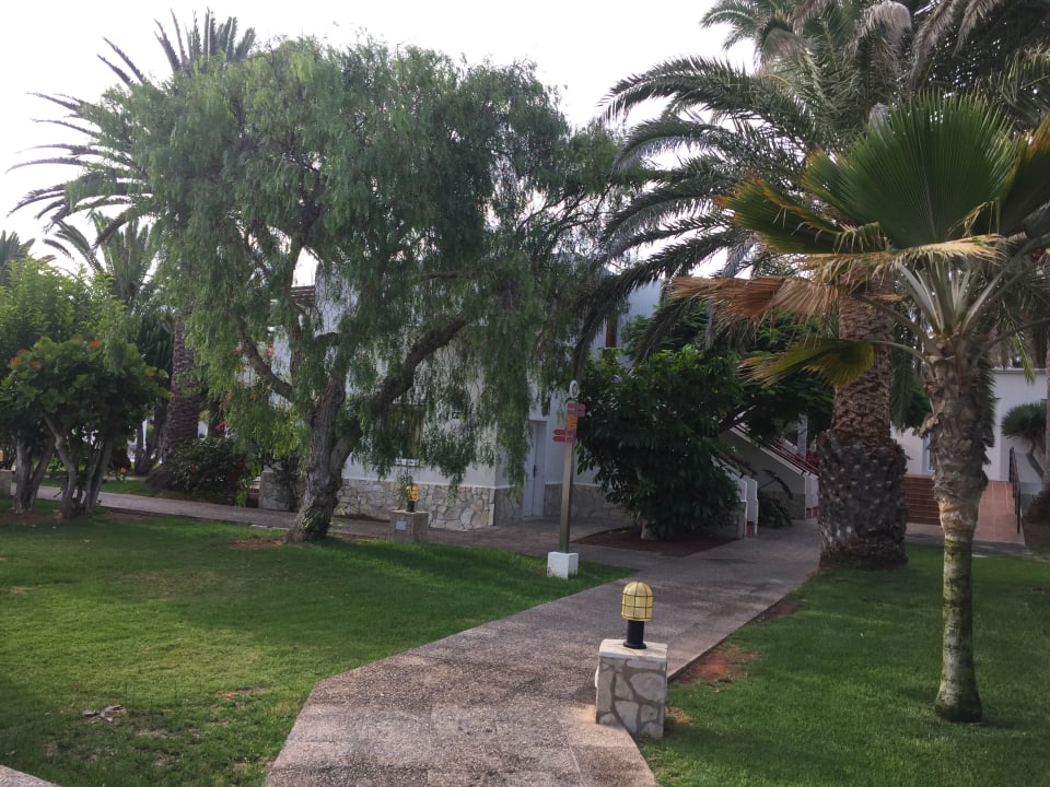 Gartenanlage Alua Suites Fuerteventura