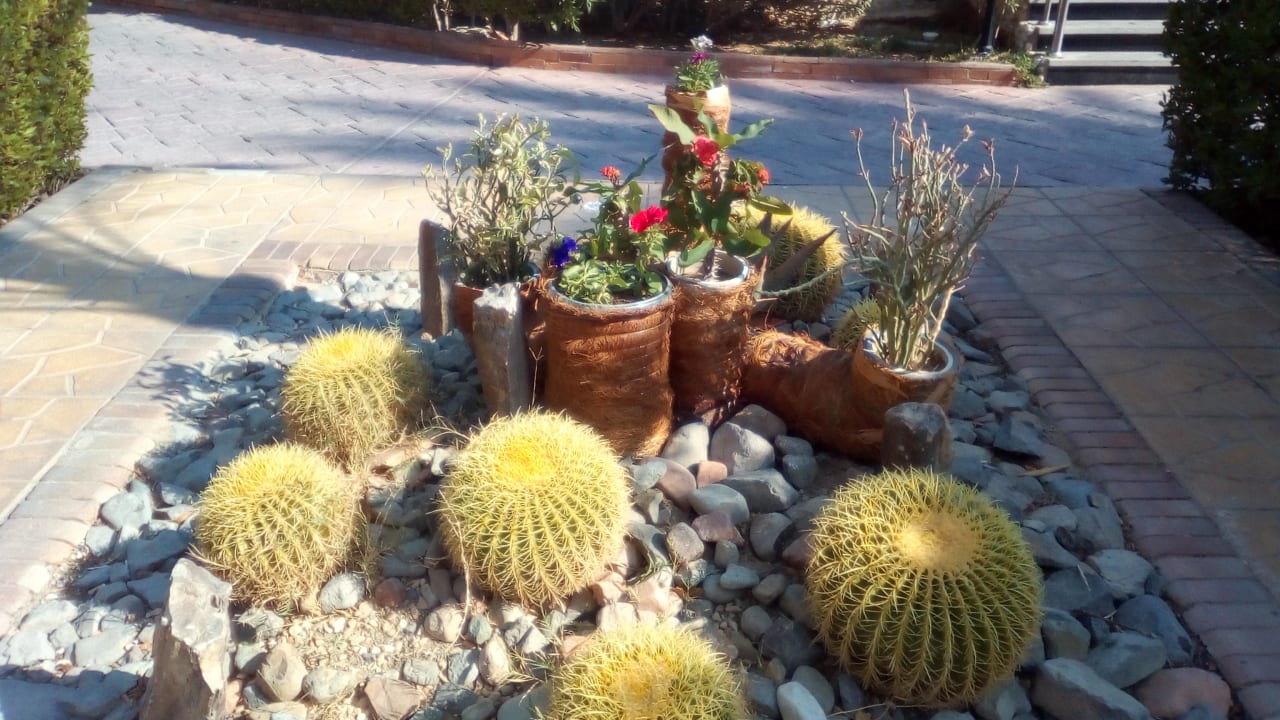 Gartenanlage Golden Beach Resort