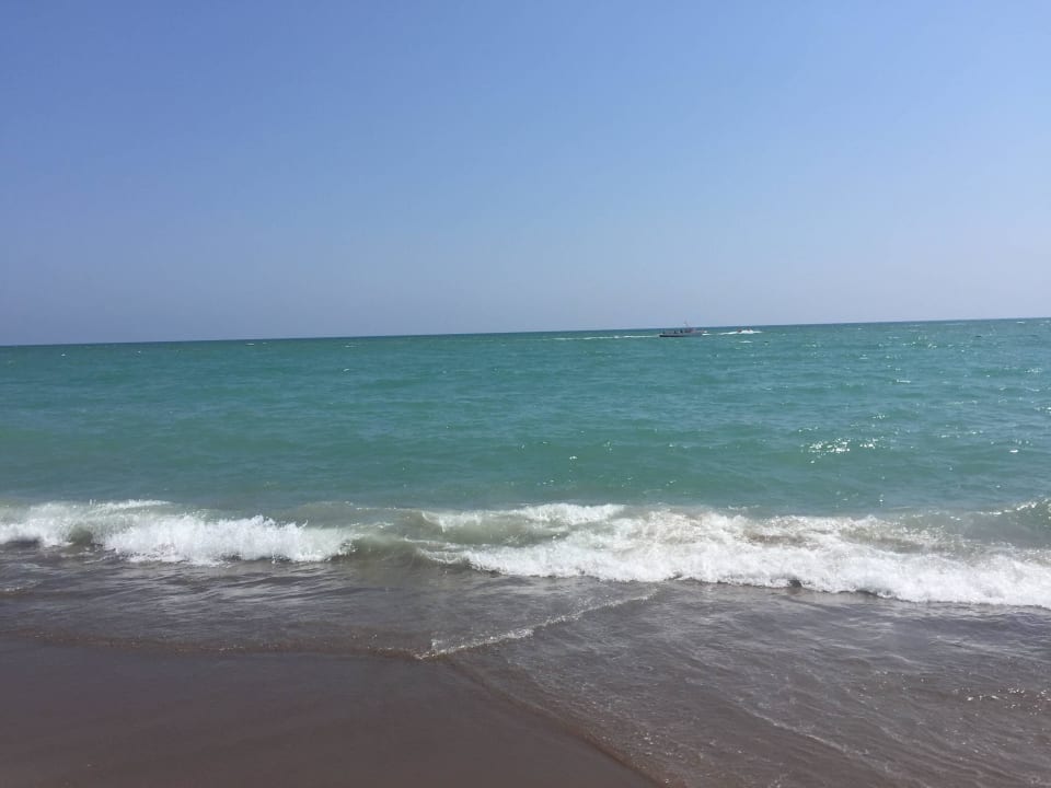 Strand Meer Gartenanlage alles Super Hotel Delphin Diva