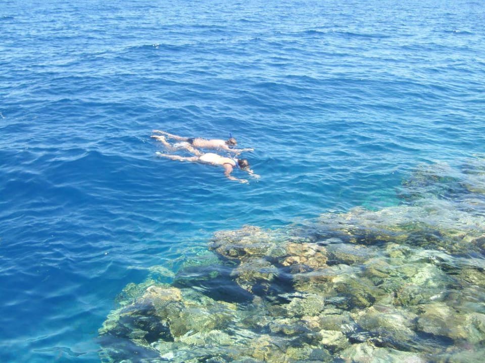 Widok rafy Amphoras Blu