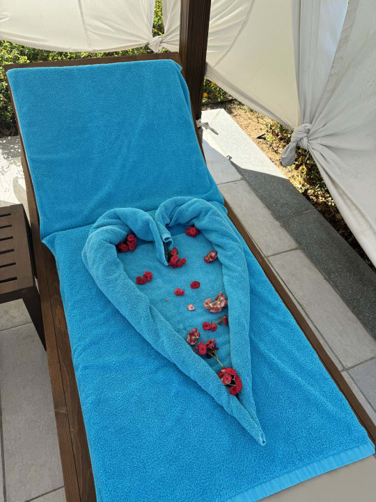 Pool Steigenberger Resort Ras Soma