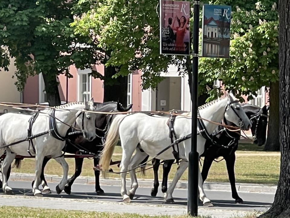 Sport & Freizeit Pension Zum Rheinsberger Leuchtturm