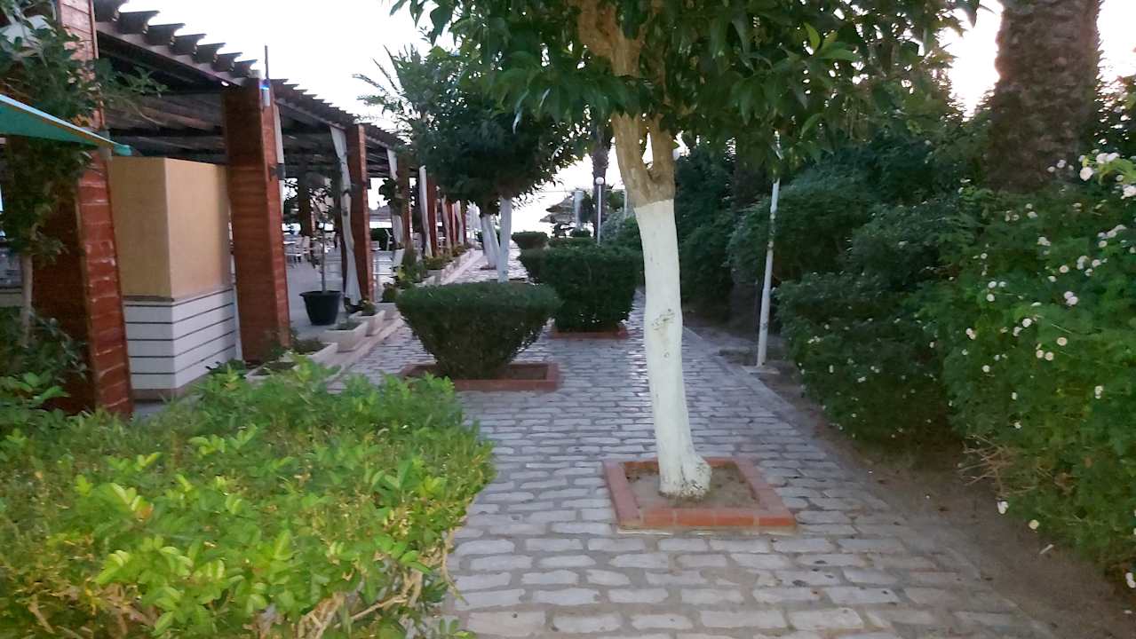 Gastro Sentido Bellevue Park