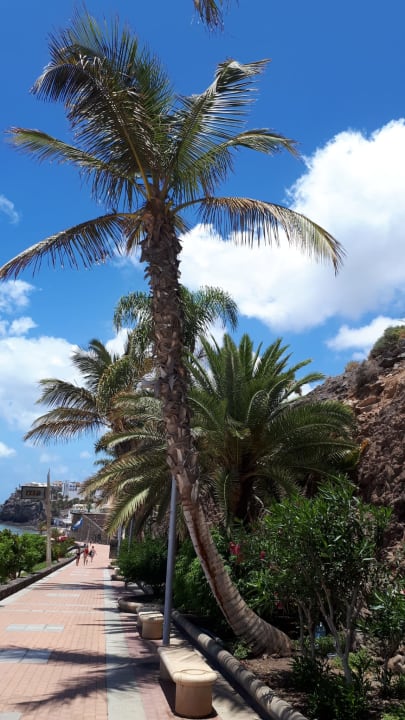 Ausblick Hotel Riu Palace Jandia