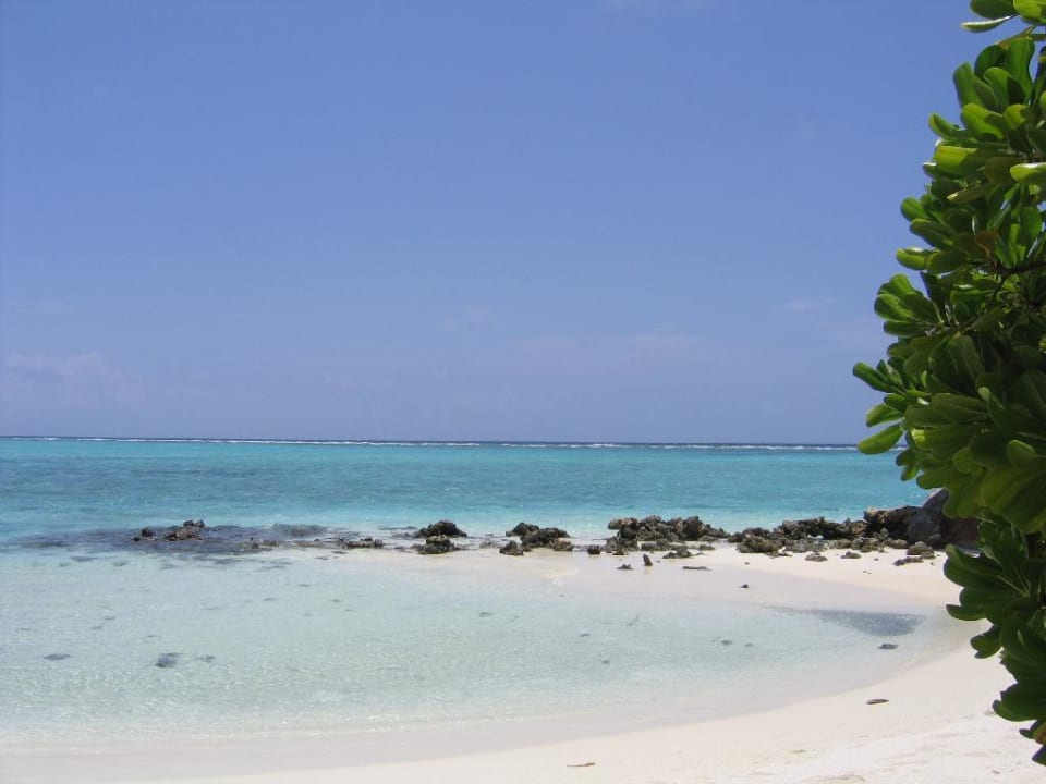 Strand Summer Island Maldives