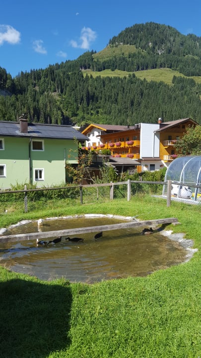 Außenansicht Bauernhof Paußhof