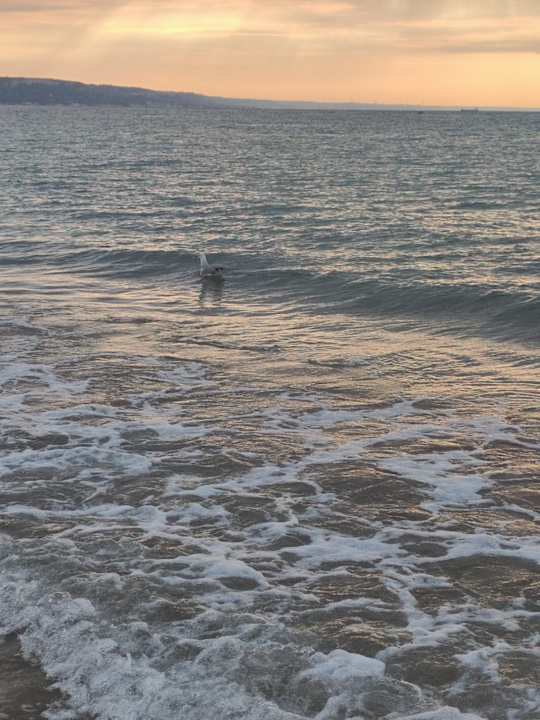 Strand Hotel Borjana