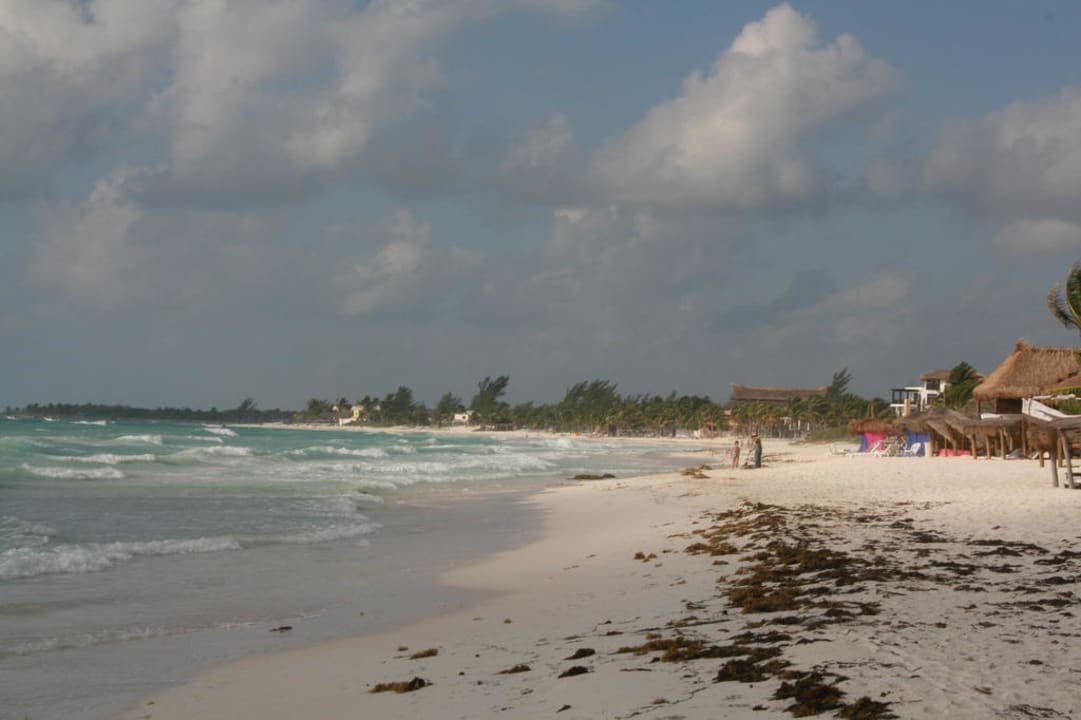 Hotel Strand  Catalonia Royal Tulum Beach & Spa Resort - Adults only