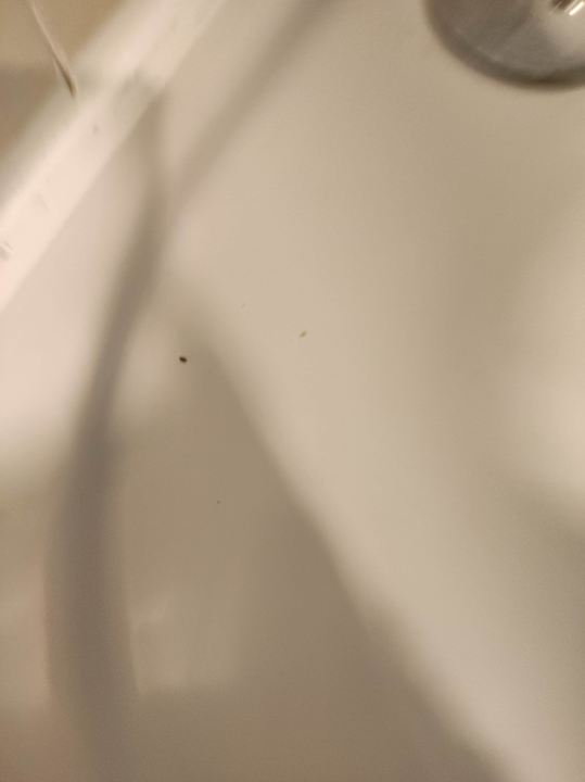 Zimmer Monachus Family Resort Sorgun