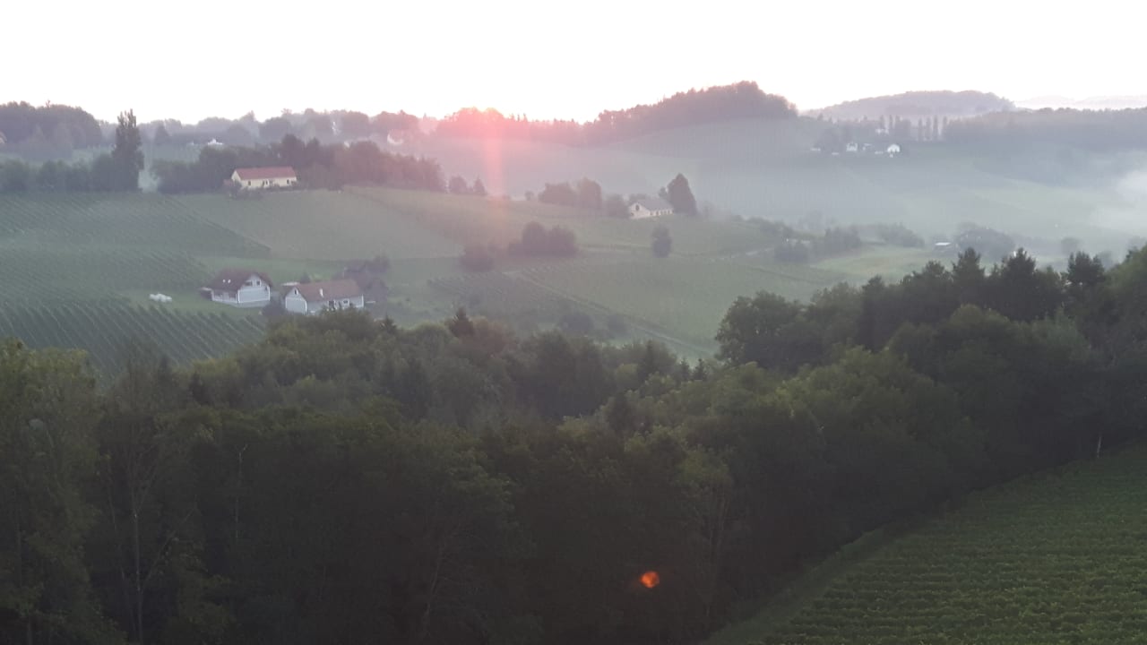 Ausblick Weingut-Gästehaus Birnstingl