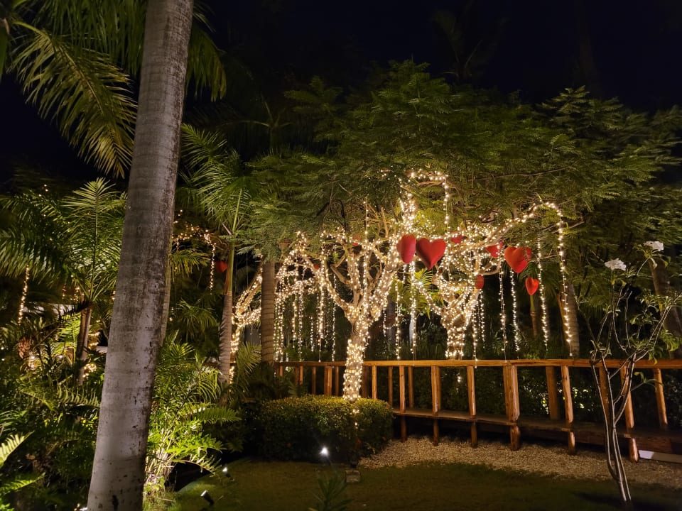 Gartenanlage TRS Turquesa Hotel - Adults only