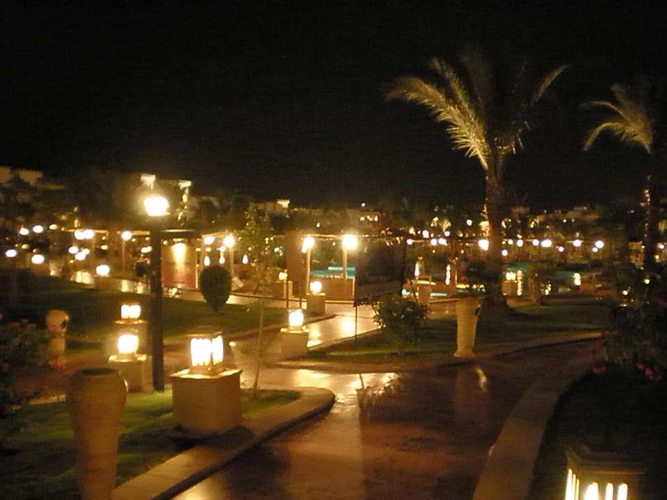 Gartenanlage Pickalbatros Palace Resort