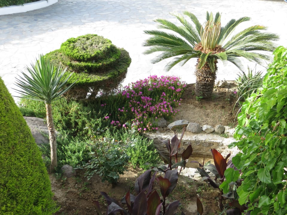 Super Gartenanlage Mastichari Bay Hotel