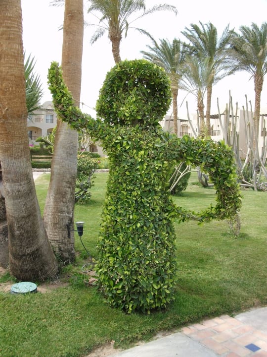 Frisch geschnitten Jaz Makadi Oasis Resort