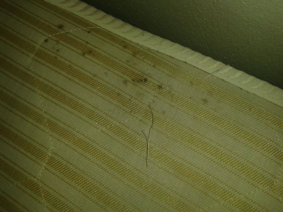 Matratze mit Schimmel und Urinflecken Scaleta Beach Hotel