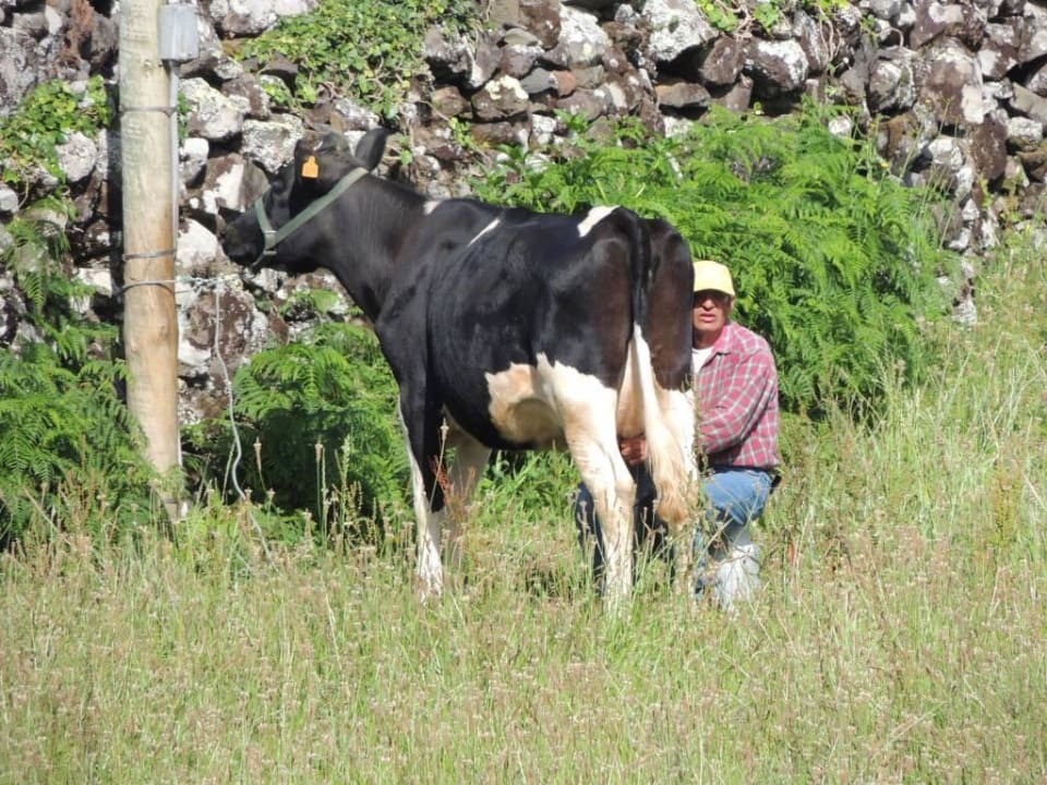 Morgendliche Szene in der Aldeia Hotel Aldeia da Cuada