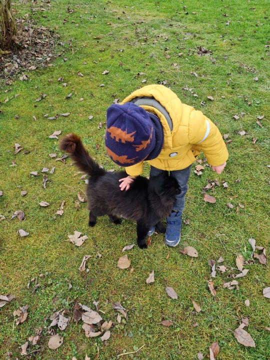 Gartenanlage Wofahanslhof